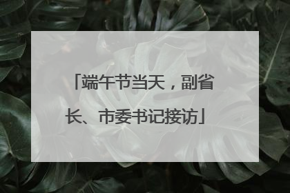 端午节当天，副省长、市委书记接访