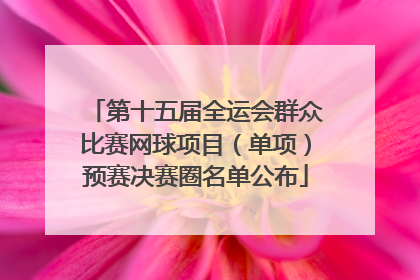 第十五届全运会群众比赛网球项目（单项）预赛决赛圈名单公布