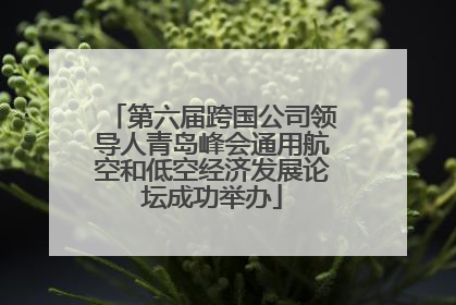 第六届跨国公司领导人青岛峰会通用航空和低空经济发展论坛成功举办