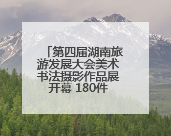 第四届湖南旅游发展大会美术书法摄影作品展开幕 180件佳作点燃岳阳文旅爆点