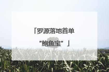罗源落地首单“鲍鱼宝”