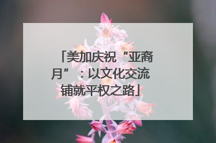 美加庆祝“亚裔月”：以文化交流铺就平权之路