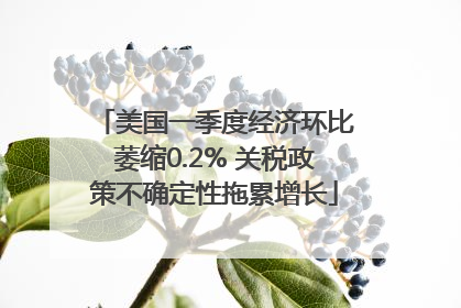 美国一季度经济环比萎缩0.2% 关税政策不确定性拖累增长