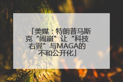 美媒：特朗普马斯克“闹崩”让“科技右翼”与MAGA的不和公开化