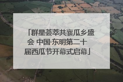 群星荟萃共襄瓜乡盛会 中国·东明第二十届西瓜节开幕式启幕