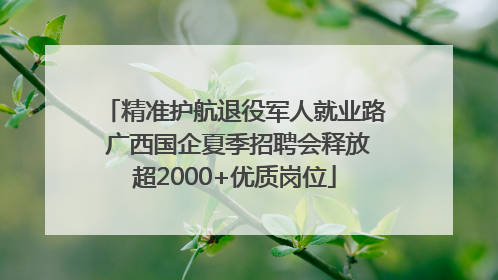 精准护航退役军人就业路 广西国企夏季招聘会释放超2000+优质岗位