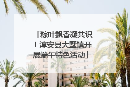 粽叶飘香凝共识！淳安县大墅镇开展端午特色活动