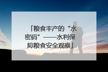 粮食丰产的“水密码”——水利保障粮食安全观察