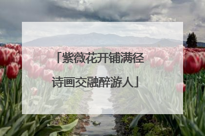 紫薇花开铺满径 诗画交融醉游人