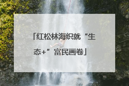 红松林海织就“生态+”富民画卷