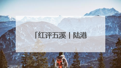 红评五溪丨陆港大道：以基建升级之笔，书鹤中一体化理念革新之章