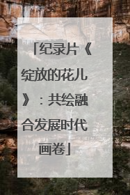 纪录片《绽放的花儿》：共绘融合发展时代画卷