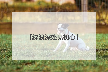 绿浪深处见初心