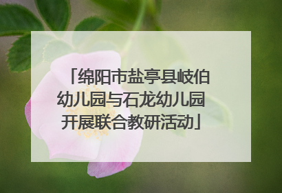 绵阳市盐亭县岐伯幼儿园与石龙幼儿园开展联合教研活动