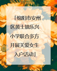 绵阳市安州区黄土镇乐兴小学联合多方开展关爱女生入户活动