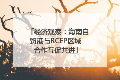 经济观察：海南自贸港与RCEP区域合作互促共进