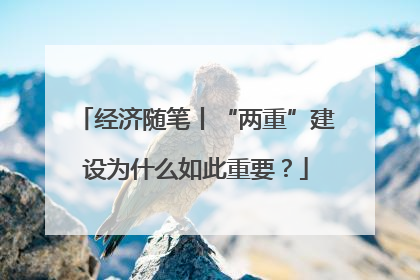 经济随笔丨“两重”建设为什么如此重要？