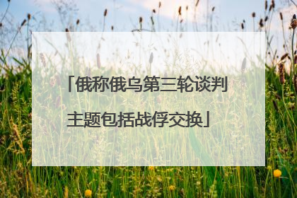 俄称俄乌第三轮谈判主题包括战俘交换