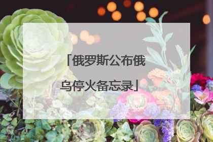 俄罗斯公布俄乌停火备忘录