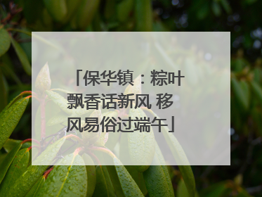 保华镇：粽叶飘香话新风 移风易俗过端午