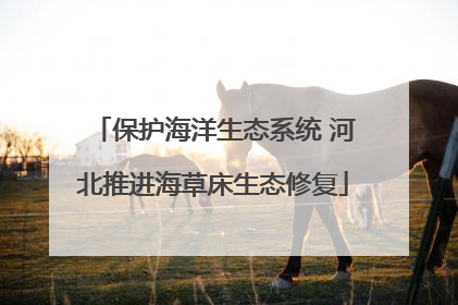 保护海洋生态系统 河北推进海草床生态修复