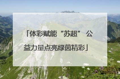 体彩赋能“苏超” 公益力量点亮绿茵精彩