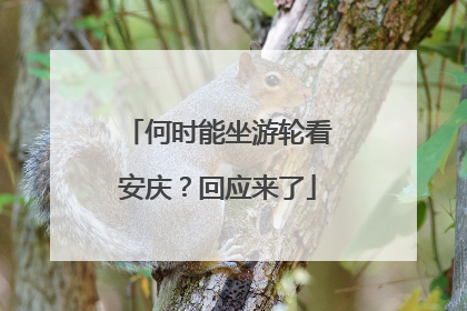 何时能坐游轮看安庆？回应来了
