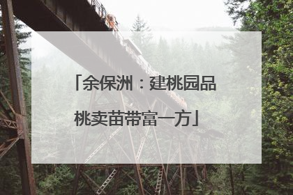 余保洲：建桃园品桃卖苗带富一方