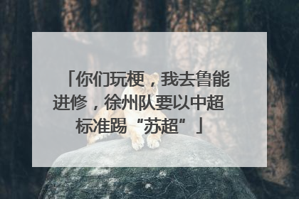 你们玩梗，我去鲁能进修，徐州队要以中超标准踢“苏超”