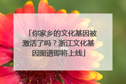 你家乡的文化基因被激活了吗？浙江文化基因图谱即将上线