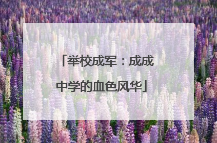 举校成军：成成中学的血色风华