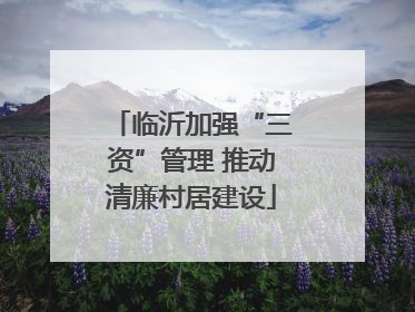 临沂加强“三资”管理 推动清廉村居建设