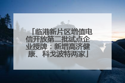 临港新片区增值电信开放第二批试点企业授牌：新增高济健康、科戈波特两家