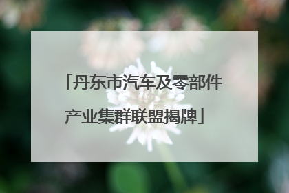 丹东市汽车及零部件产业集群联盟揭牌