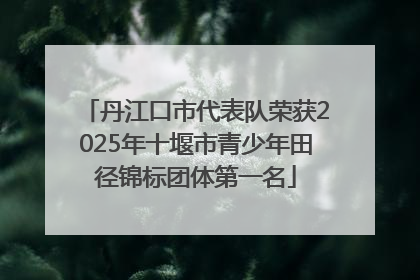 丹江口市代表队荣获2025年十堰市青少年田径锦标团体第一名