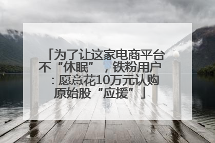 为了让这家电商平台不“休眠”，铁粉用户：愿意花10万元认购原始股“应援”