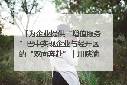 为企业提供“增值服务”巴中实现企业与经开区的“双向奔赴”｜川陕渝网络名人巴中行
