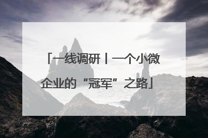 一线调研丨一个小微企业的“冠军”之路