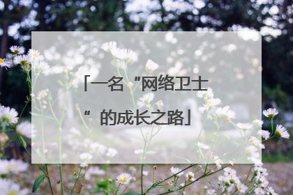 一名“网络卫士”的成长之路