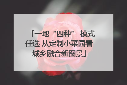 一地“四种” 模式任选 从定制小菜园看城乡融合新图景