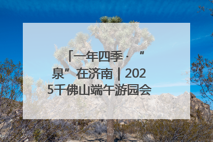 一年四季 · “泉”在济南｜2025千佛山端午游园会邀您共享亲子时光