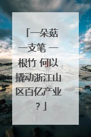 一朵菇 一支笔 一根竹 何以撬动浙江山区百亿产业？