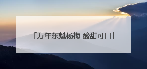 万年东魁杨梅 酸甜可口