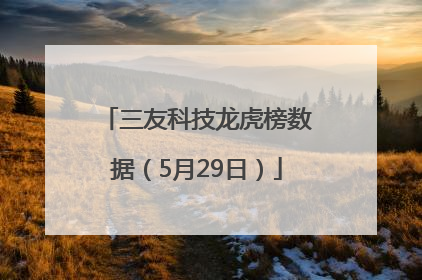 三友科技龙虎榜数据（5月29日）