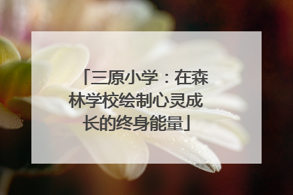 三原小学：在森林学校绘制心灵成长的终身能量
