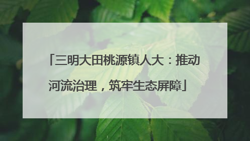 三明大田桃源镇人大：推动河流治理，筑牢生态屏障