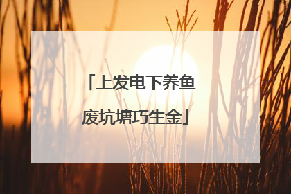 上发电下养鱼 废坑塘巧生金