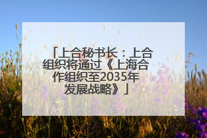 上合秘书长：上合组织将通过《上海合作组织至2035年发展战略》