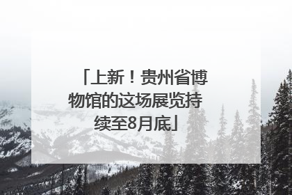 上新！贵州省博物馆的这场展览持续至8月底