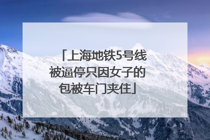上海地铁5号线被逼停只因女子的包被车门夹住